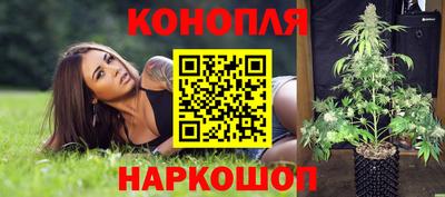 гашик Можайск