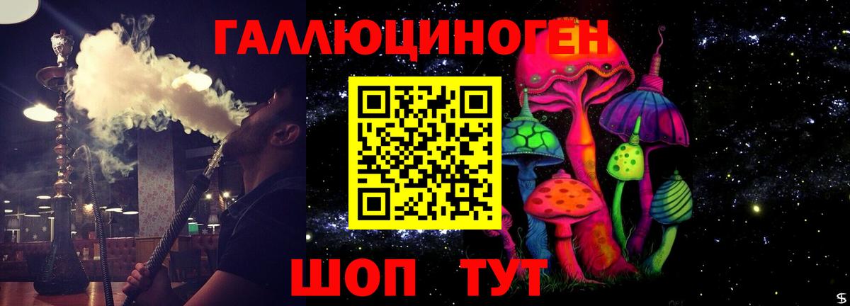 Галлюциногенные грибы Psilocybine cubensis  Вход с VPN  Галлюциногенные грибы мухоморы  Тула 